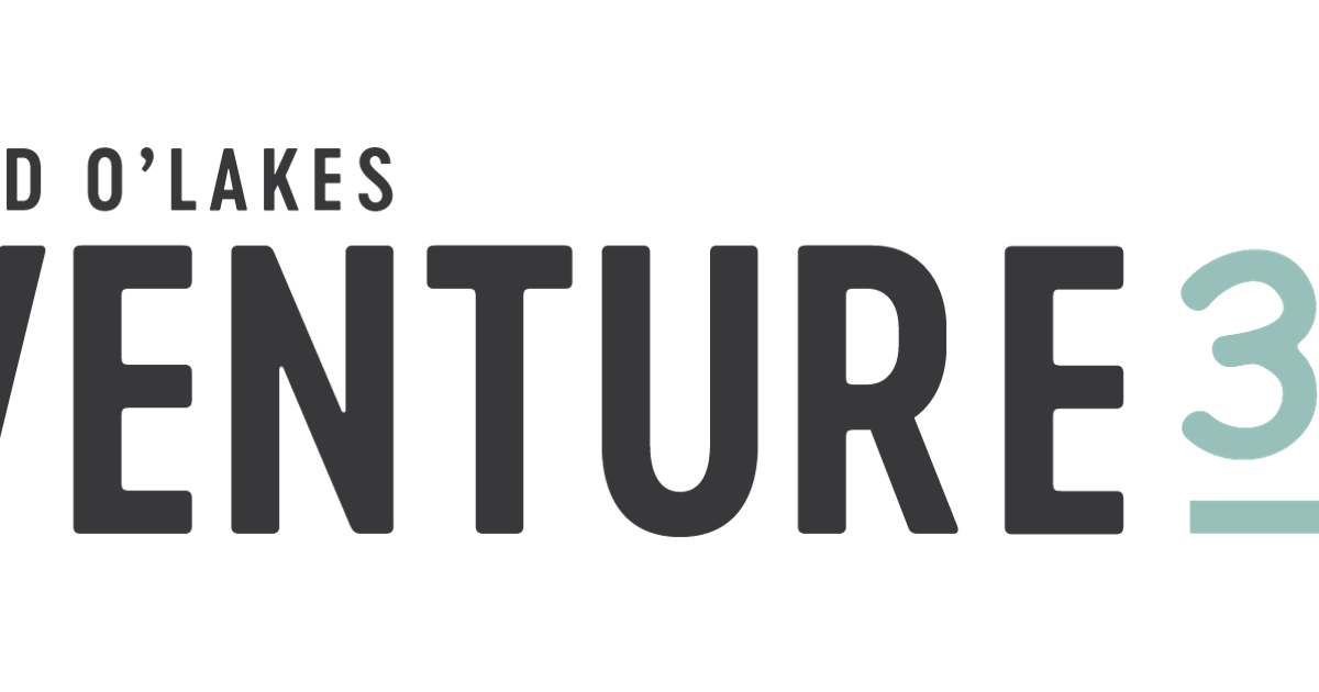 Venture 37 - USAID partner logo